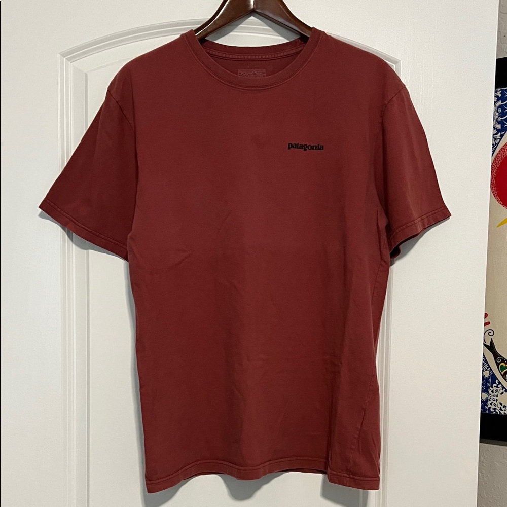 Patagonia Men's Brick Red Short Sleeve Tee